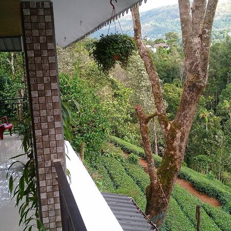 Green Tea View 蒙纳 外观 照片