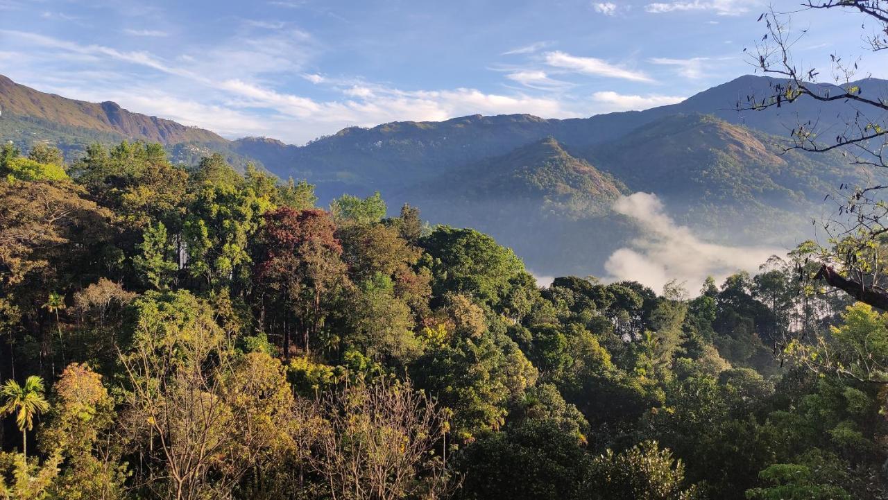 Green Tea View 蒙纳 外观 照片